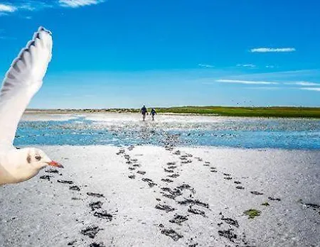 公寓 Peter Vollerwiek