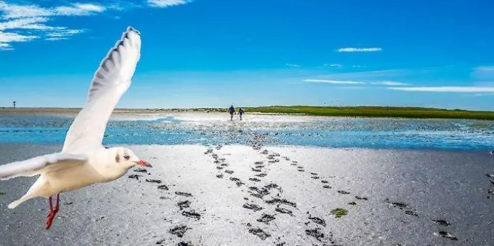 Apartment Peter Vollerwiek